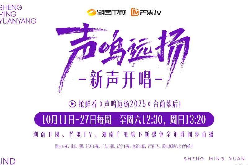 海外追剧党必看！手把手教你解除爱奇艺地区限制，轻松看遍国内热门综艺
