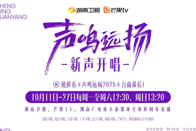 海外华人轻松解锁国内影音限制：告别播放卡顿的实用指南