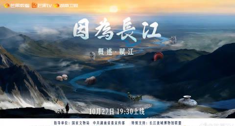 海外华人轻松解锁国内影视资源,告别地区限制烦恼