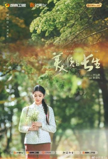 海外华人轻松解锁大陆影视限制，畅享热门剧集不卡顿