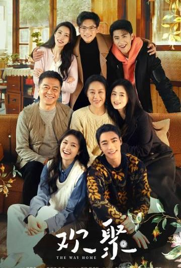 海外华人如何突破地区限制，畅享国内热门影视综艺节目