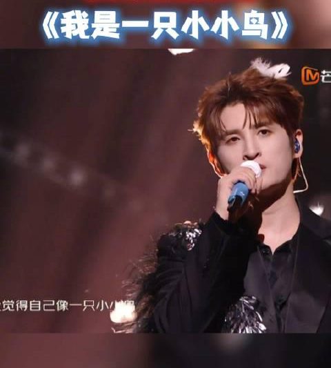 海外华人必看：三步解决爱奇艺、芒果TV地区限制，追剧不再愁