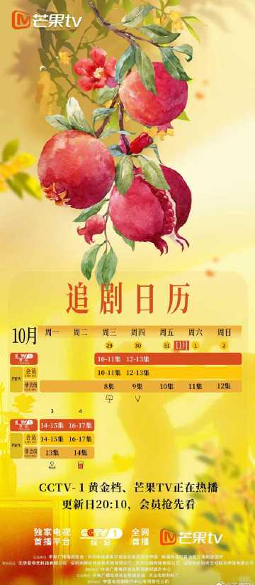 海外华人必看!3招解决爱奇艺、芒果TV地区限制,轻松追《红石榴餐厅》