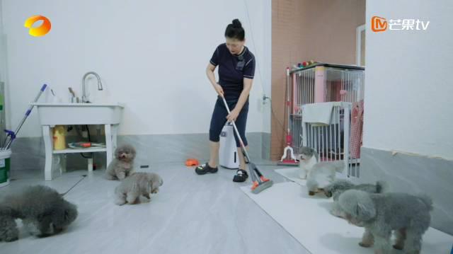 海外华人必看!3步解除爱奇艺地区限制,追剧不再卡顿