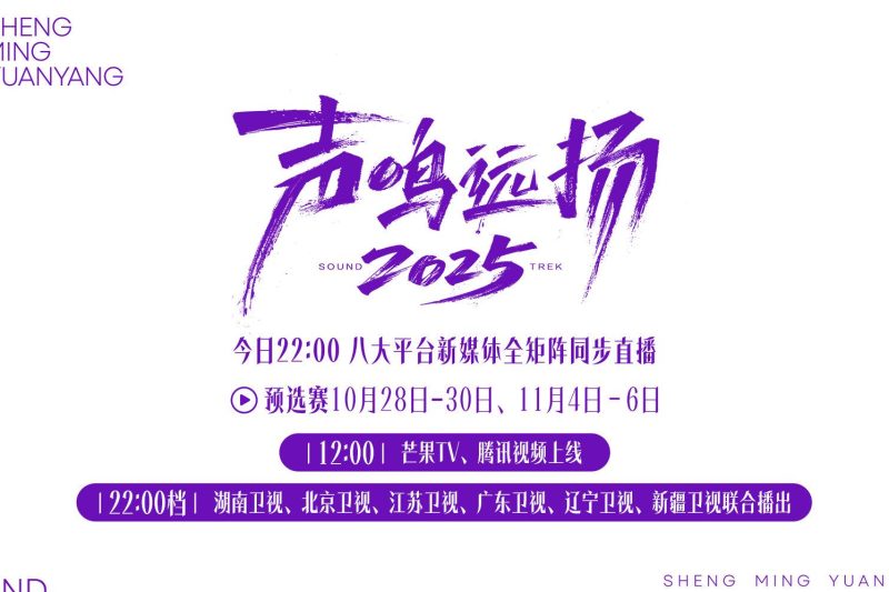 海外华人如何轻松解除地区限制,畅享国内热门综艺节目