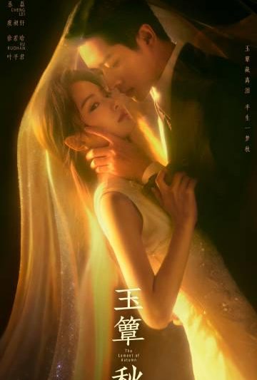 海外华人轻松解锁大陆影视限制，畅享《玉簟秋》等热门节目