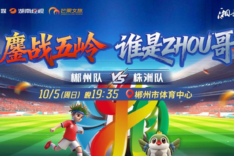 海外华人必看：轻松解锁国内影视综艺，告别地区限制烦恼