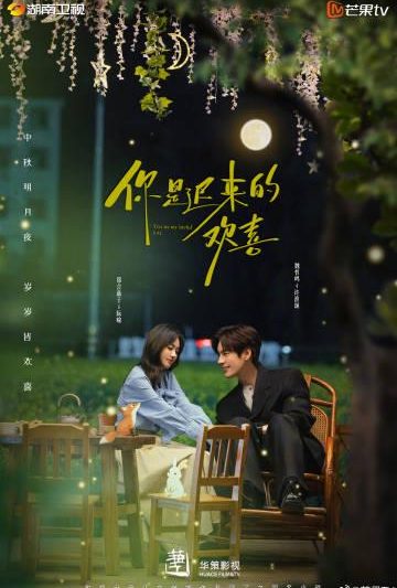 海外华人轻松解锁国内影视资源：告别地区限制困扰