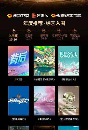 海外华人如何轻松解除大陆影视综艺地区限制，告别卡顿烦恼