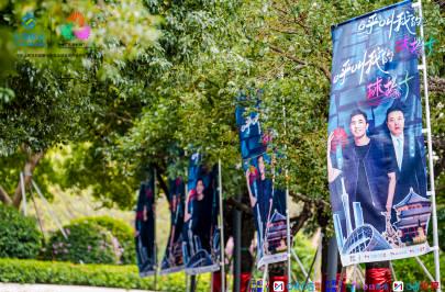 海外华人追剧指南:轻松突破地区限制,与国内同步看热门赛事