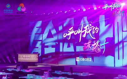 海外华人追剧指南:轻松突破地区限制,与国内同步看热门赛事