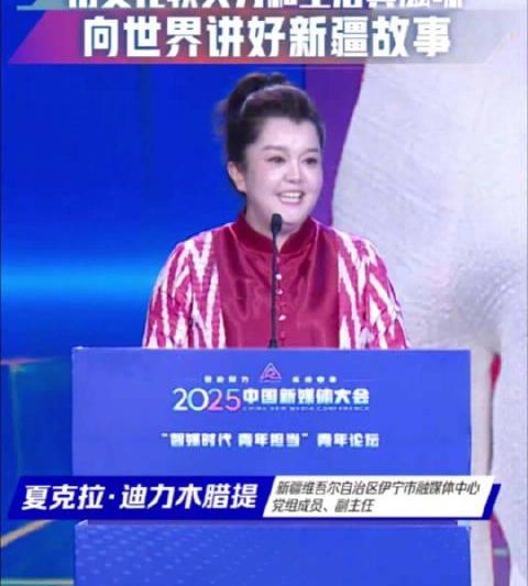 海外华人轻松解锁国内影视资源：实用指南与技巧分享