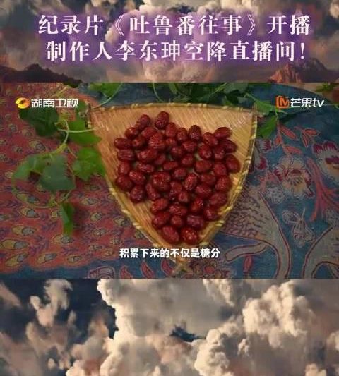 海外华人必看：轻松解除视频音乐地区限制全攻略