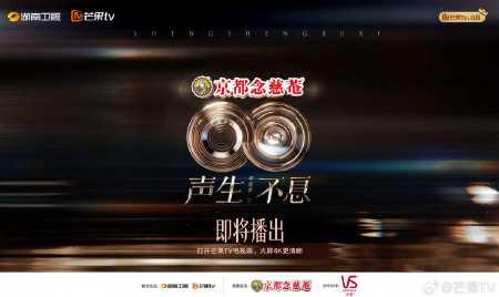 海外华人如何轻松解锁大陆影音限制，畅享华流季精彩内容