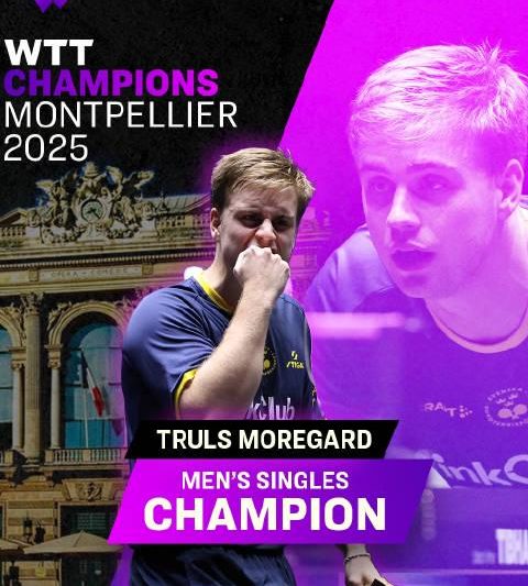 莫雷加德横扫日本新星夺冠，揭秘WTT蒙彼利埃站背后的战术进化之路