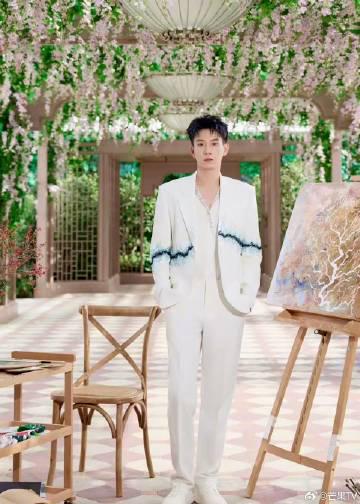 海外华人轻松解锁国内影音限制,畅享王子奇治愈系花园大片