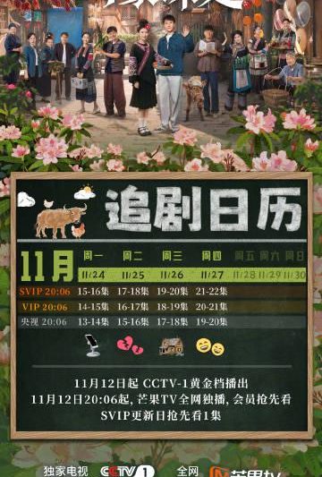 海外追剧不再愁！手把手教你解除地区限制看国内热播剧