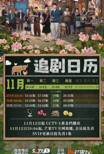 海外华人轻松解锁大陆影视限制，畅享热门剧集不再卡顿