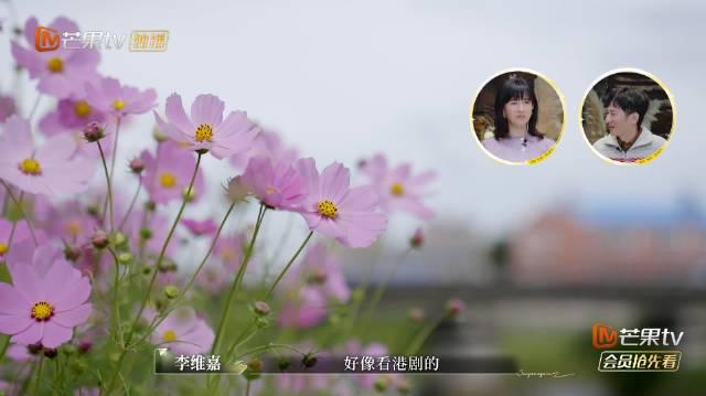 海外华人必看！3招解决爱奇艺地区限制，轻松追《再见爱人》等国内热播剧