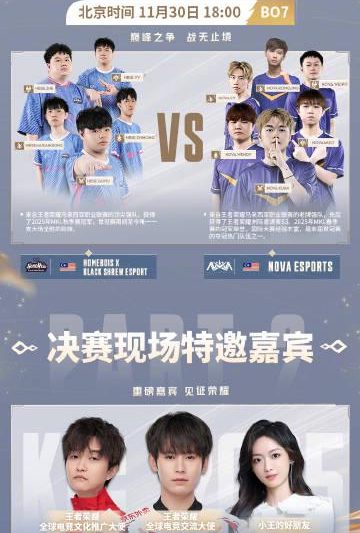 海外华人追剧听歌不再愁！2025世冠总决赛背后的地区限制破解指南