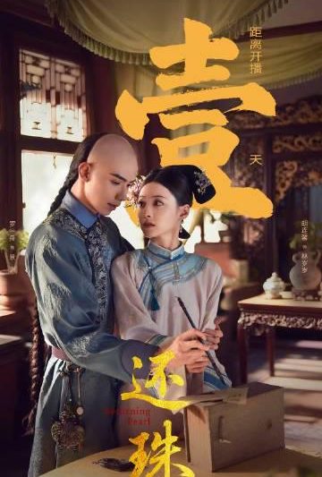 海外华人轻松解锁大陆影视限制，畅享热门综艺音乐全攻略