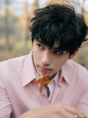 海外华人轻松解锁国内影视限制,畅享高清流畅观影体验