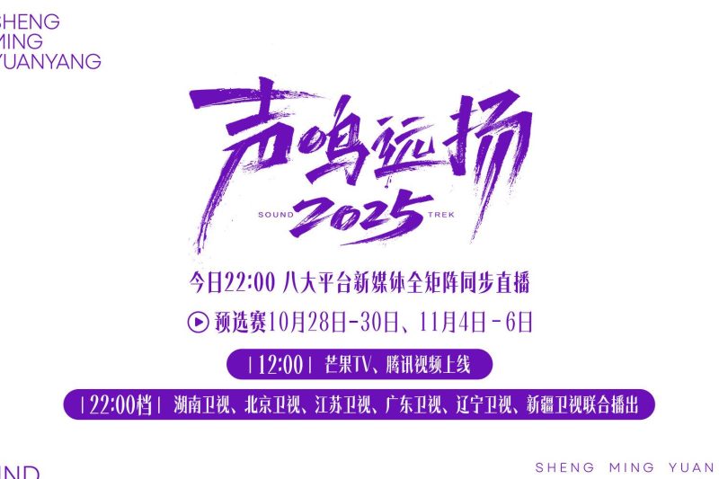 海外华人必备：轻松解除国内影视综艺地区限制全攻略
