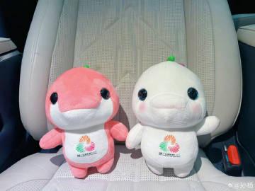 海外华人也能轻松追全运!三步教你解锁国内赛事直播