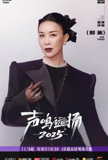 海外华人必看！一招解决爱奇艺地区限制，那英新综艺《声鸣远扬》不再错过