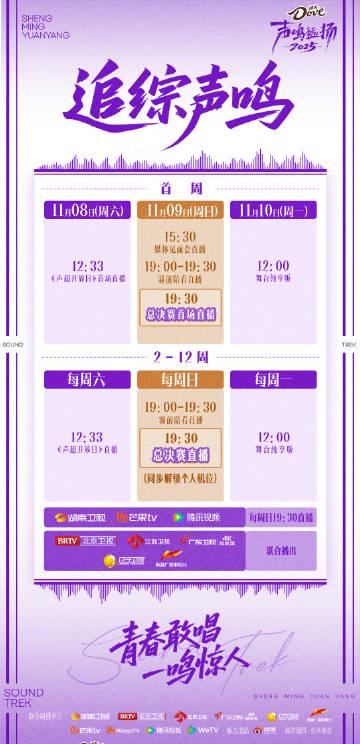 海外华人必看!3步教你解除爱奇艺地区限制,追《声鸣远扬2025》不再卡顿