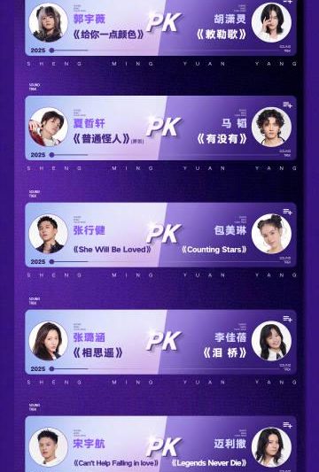 海外华人轻松解锁大陆影音限制：告别卡顿畅享热门综艺