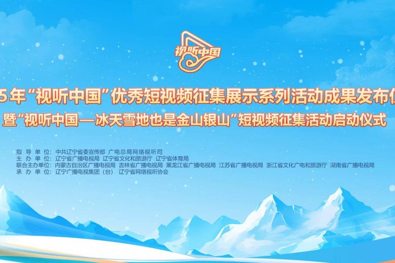 海外华人看不了国内视频？手把手教你解除地区限制，畅享影音盛宴