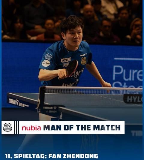 樊振东海外联赛大放异彩！海外华人如何轻松追看国乒比赛？